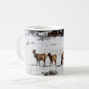 Search for elks mugs Colorado