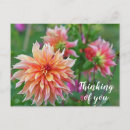 Search for thinking photography Garden