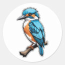Search for kingfish stickers Nature