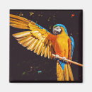 Search for macaws magnets Parrot