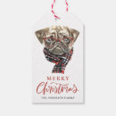 Search for pug christmas Dog