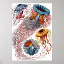 Search for 1899 posters Vintage