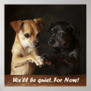 Search for funny dog pictures posters Dogs