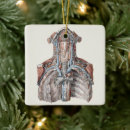 Search for healthcare christmas tree decorations Doctors