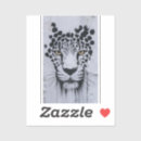 Search for leopard portrait Exotic