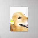 Search for headphones canvas prints Animal