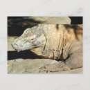 Search for komodo postcards Lizard
