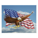Search for american bald eagle art Stars and stripes