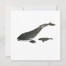 Search for cetacean cards Wildlife