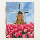 Search for dutch gifts Flower