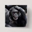 Search for primate badges Funny