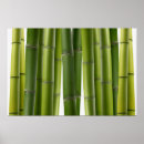 Search for bamboo posters Botanical