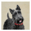 Search for scottish terrier posters Scottie