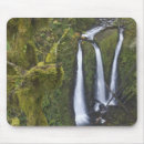 Search for gorge mousepads Creek