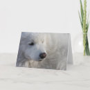 Search for samoyed dog cards Eskie