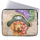 Search for buccaneer electronics Pirate