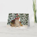 Search for elf photo christmas cards Winter