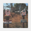 Search for pork magnets Fun