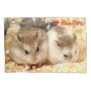 Search for furry pillowcases Pet