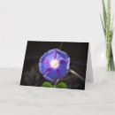Search for glories cards Garden