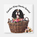 Search for tri colour magnets Puppy
