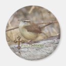 Search for wren magnets Birds
