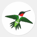 Search for ruby throated hummingbird stickers Animal