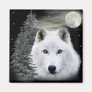 Search for arctic wolf magnets Animals