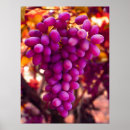 Search for grapevine art Purple