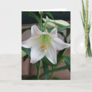 Search for scenting cards Scented