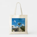 Search for lone tree Travel