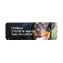Search for breeds return address labels Canine