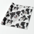 Search for border collie wrapping paper Birthday