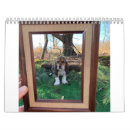 Search for hound calendars Basset