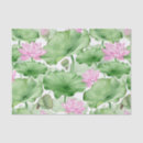 Search for lotus flower tissue paper Nature