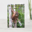 Search for encouragement humour cards Divorce