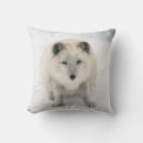 Search for artic Snow