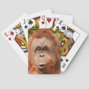 Search for apes playing cards Nature