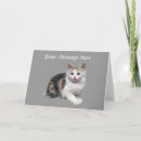 Search for pussy cards Kitten
