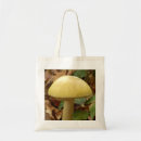 Search for fungus accessories Amanita