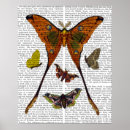 Search for moth posters Contemporary