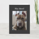 Search for bull cards Dog lover