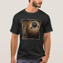 Search for sloth photo tshirts Photos of sloths