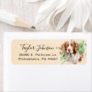Search for brittany return address labels Dog