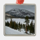Search for nevada christmas tree decorations Landscape