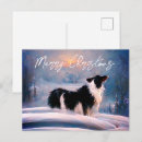 Search for border collie postcards Dog