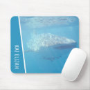 Search for blue whales electronics Ocean