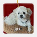 Search for maltese dog christmas tree decorations Dogs
