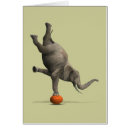 Search for orange basketball cards Funny