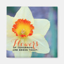 Search for daffodils magnets Floral